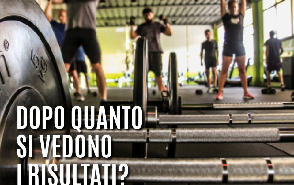 Palestra con pesi in primo piano e persone che si allenano sullo sfondo.