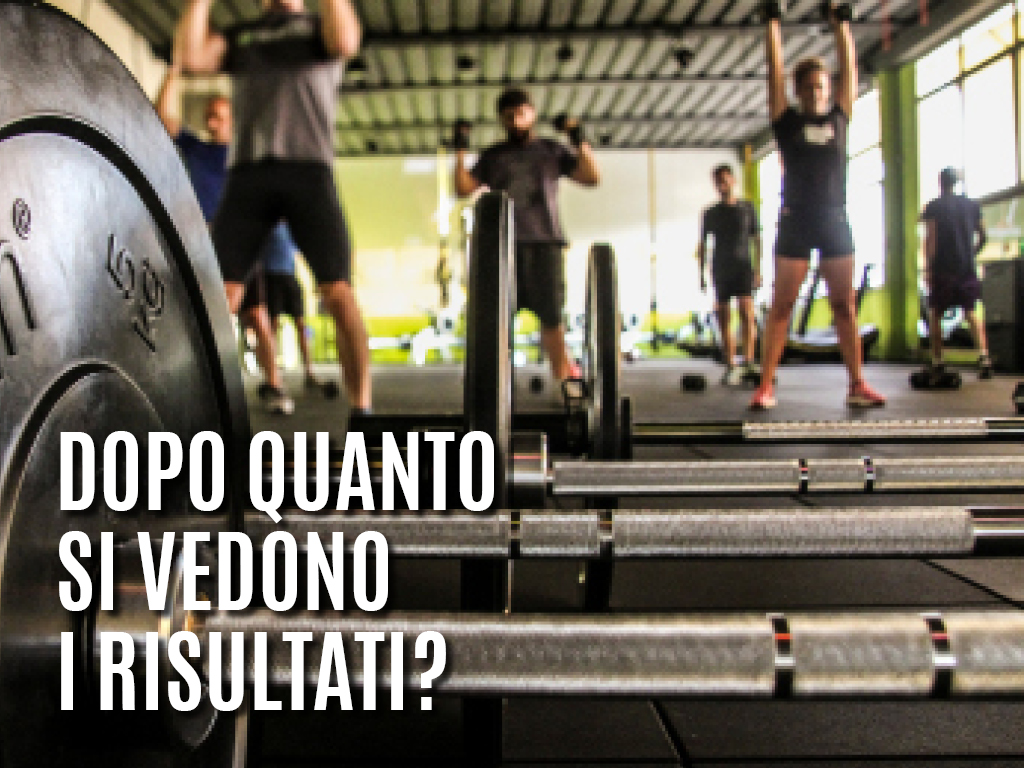 Palestra con pesi in primo piano e persone che si allenano sullo sfondo.