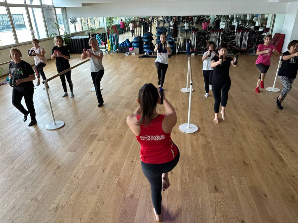 Ego functional barre gruppo